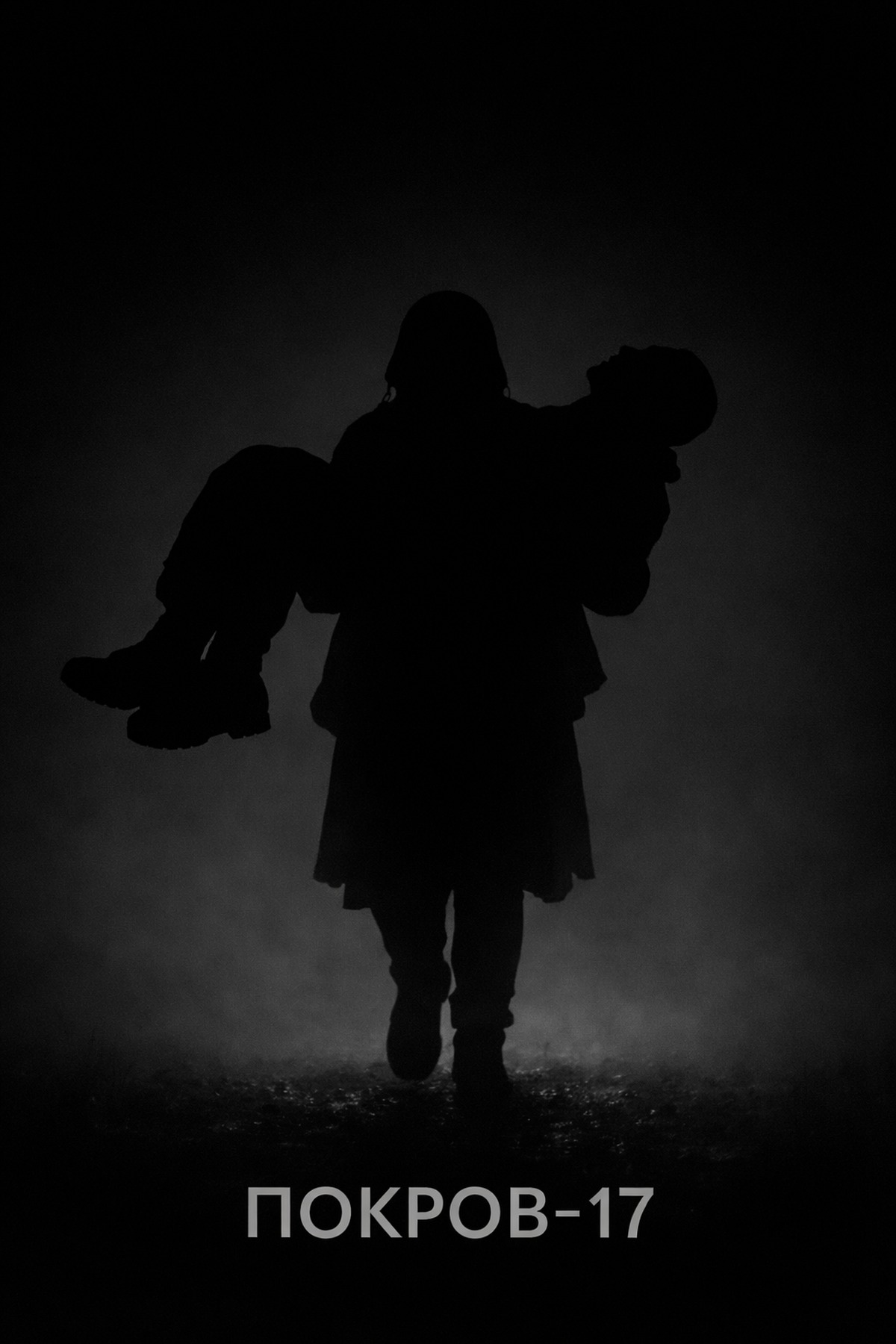 Pokrov-17 project poster